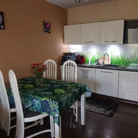 K&m Apartament Polanki コウォブジェク